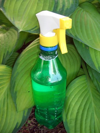 All-natural All-purpose Cleaning Spray