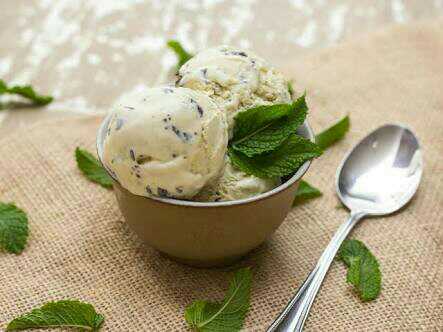  Mint Chip Ice Cream 