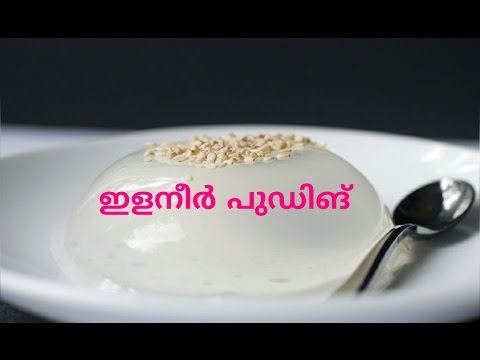TENDER COCONUT PUDDING