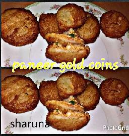 Paneer Gold Coin
