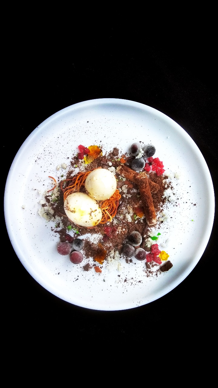 The edible bird's nest representing coconut milk pudding, and grape gelled choco tree logs: