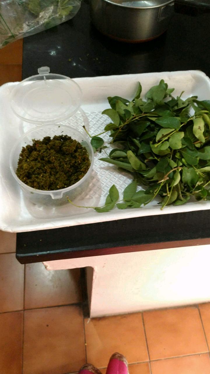 Curry  Leaves powder