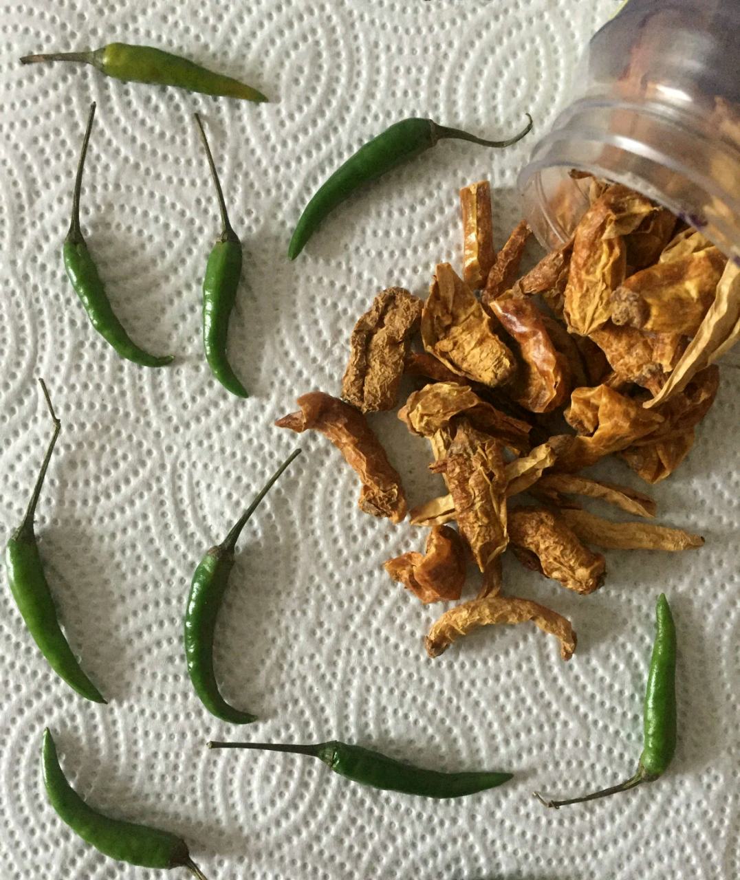 Buttermilk Chillies/Majjige Menasinakaayi/Sun Dried Mirchi/Majjige mirapakayalu