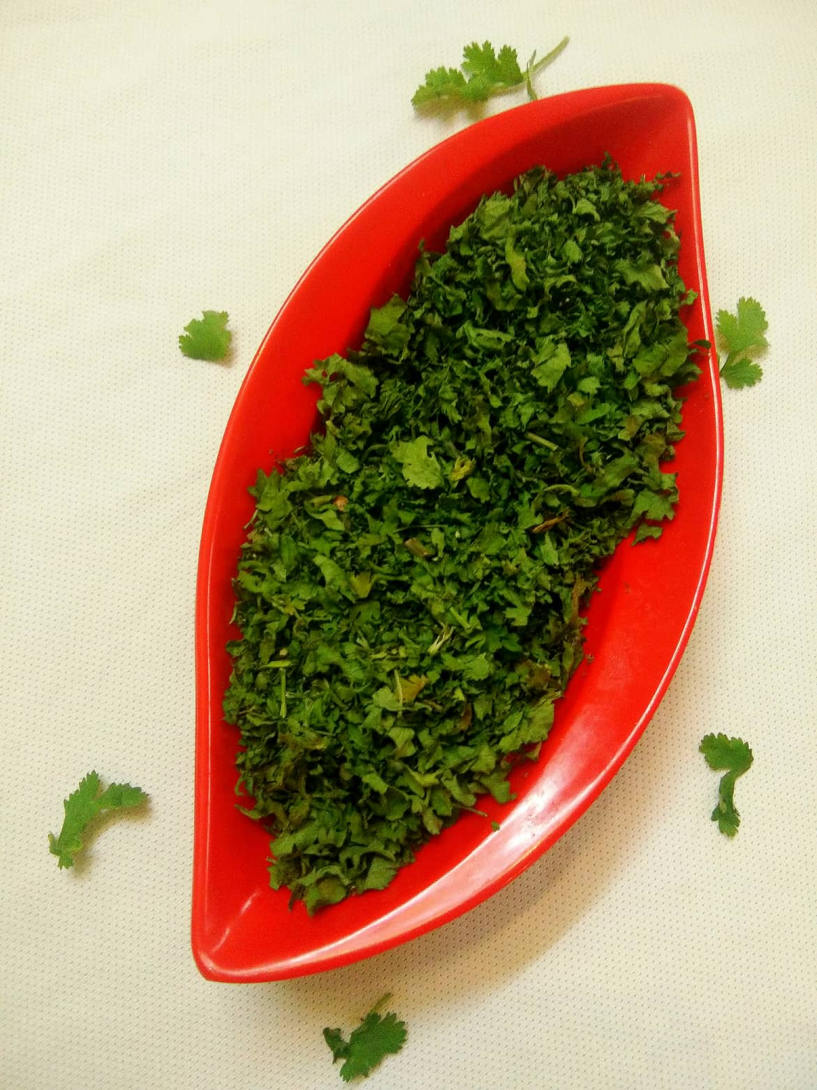 Dry Coriander Leaves