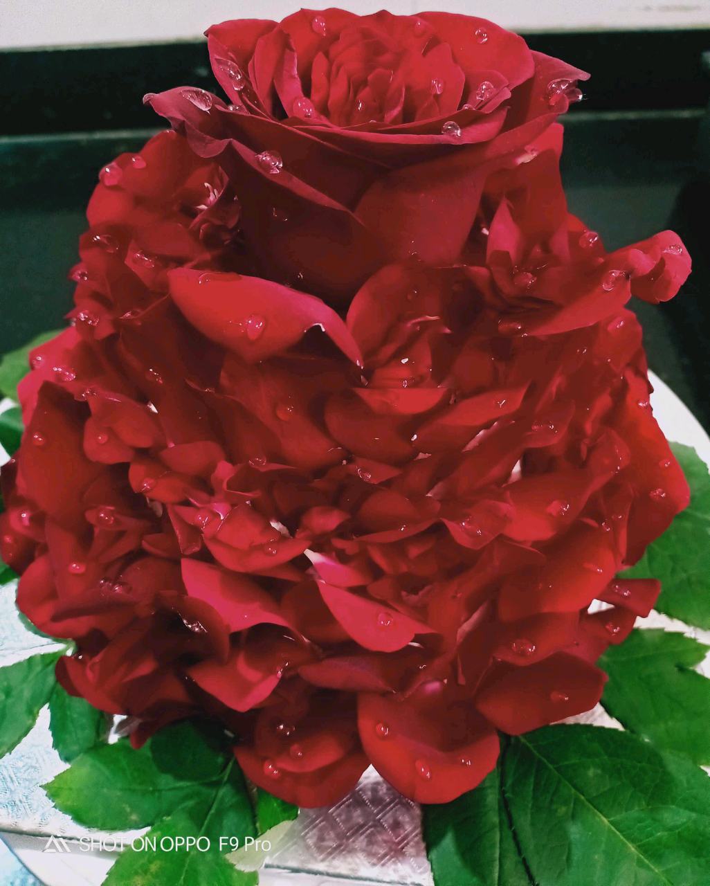 ROSE CAKE