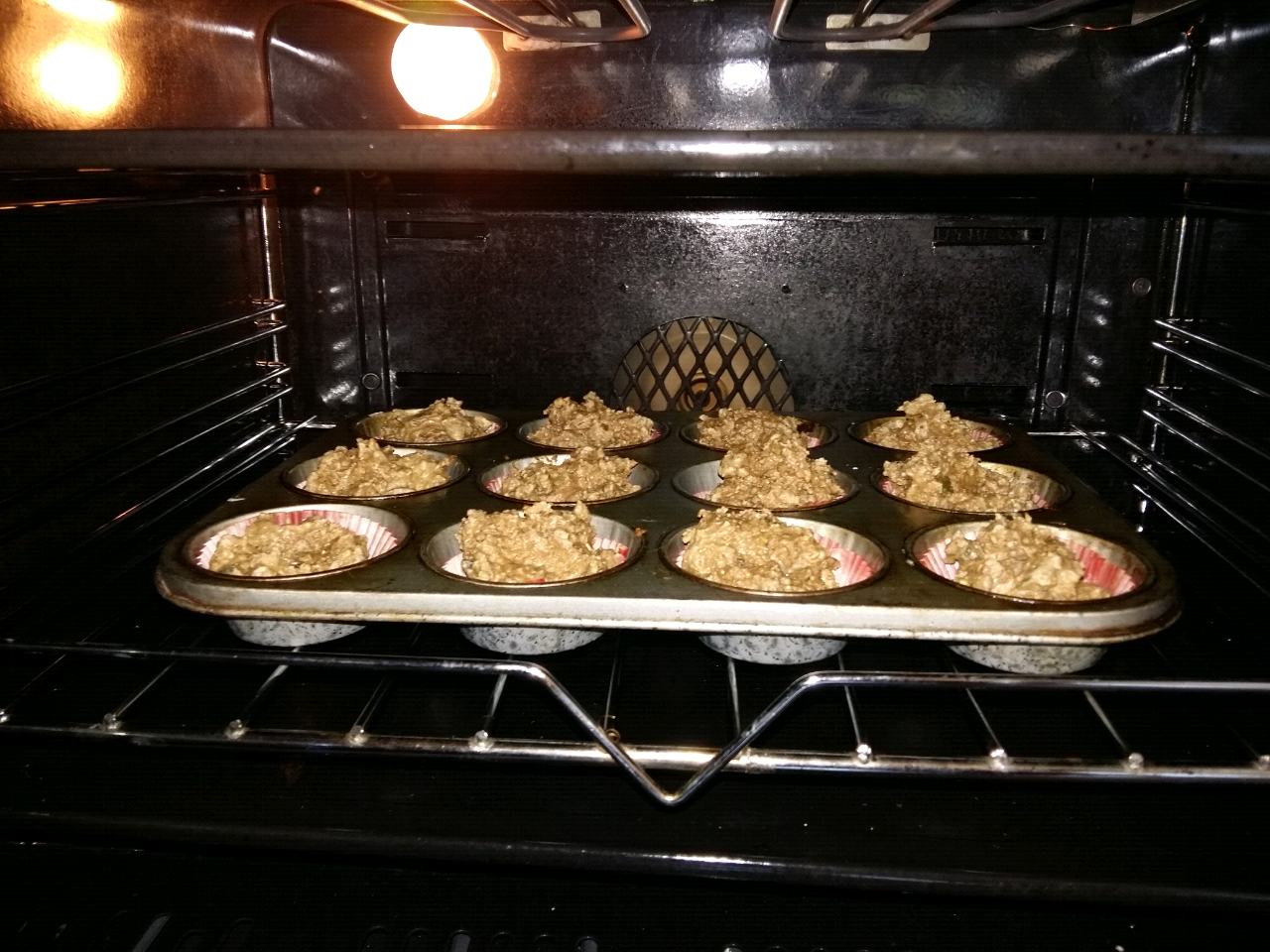 Protein Muffins