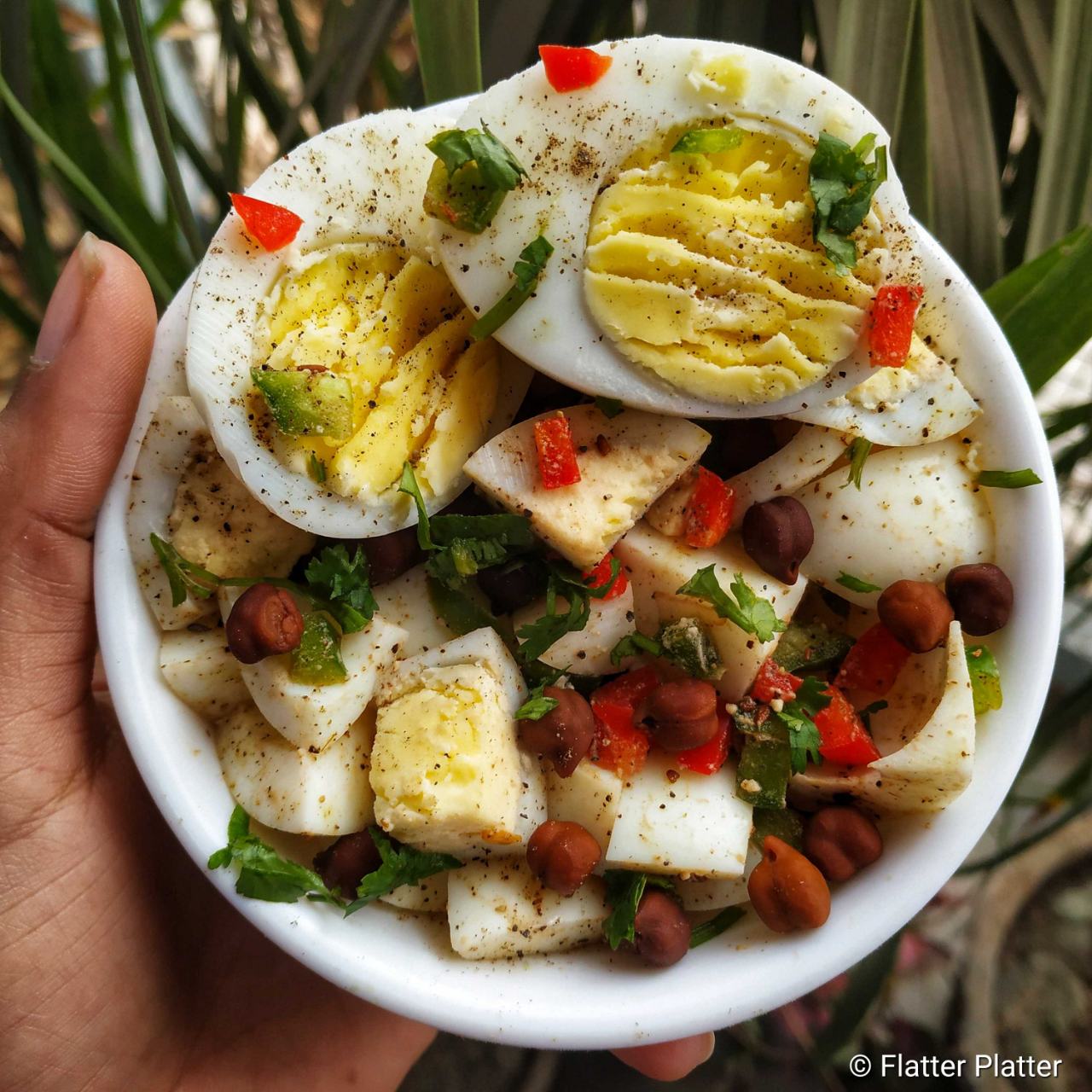 Egg Chana Salad