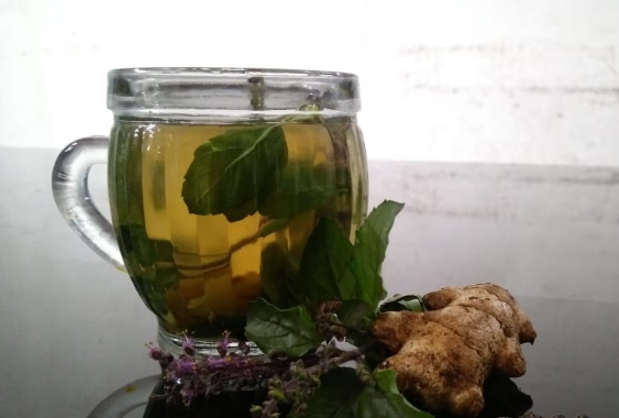 Tulsi Ginger Fresh Herbal Tea