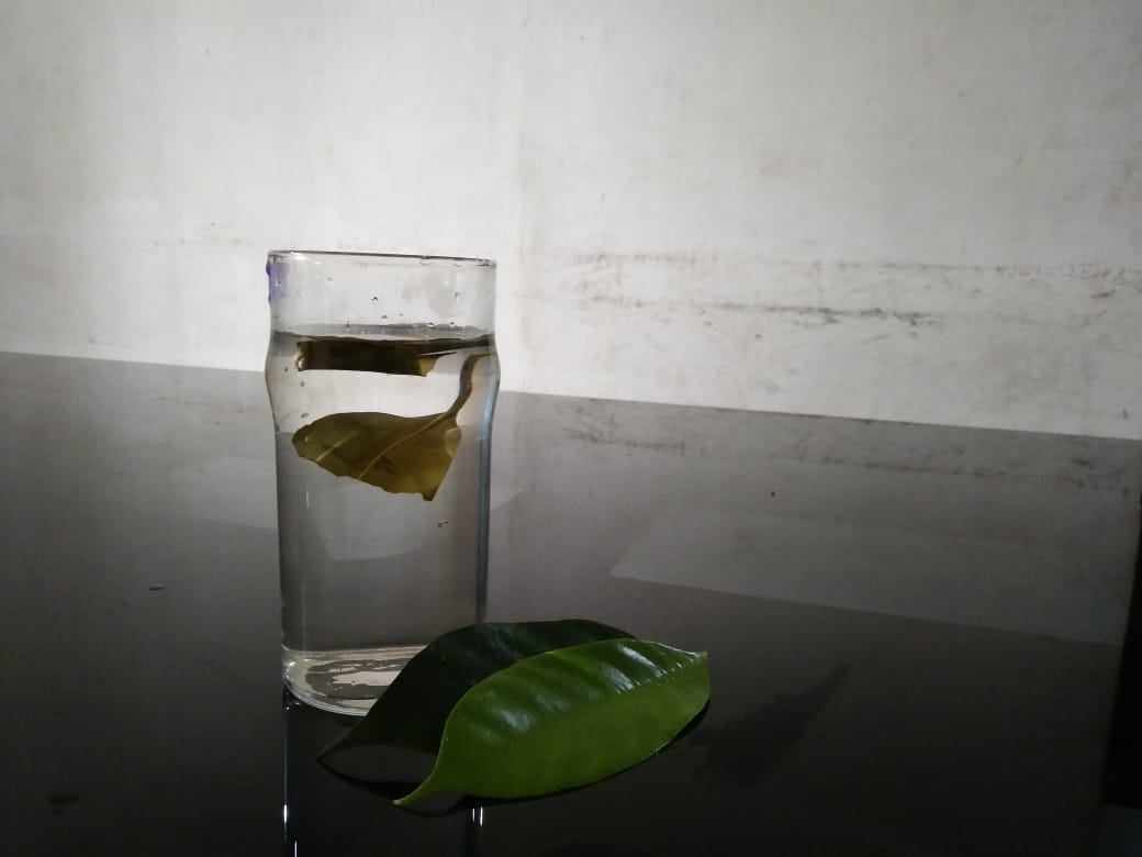 Nutmeg leaf water