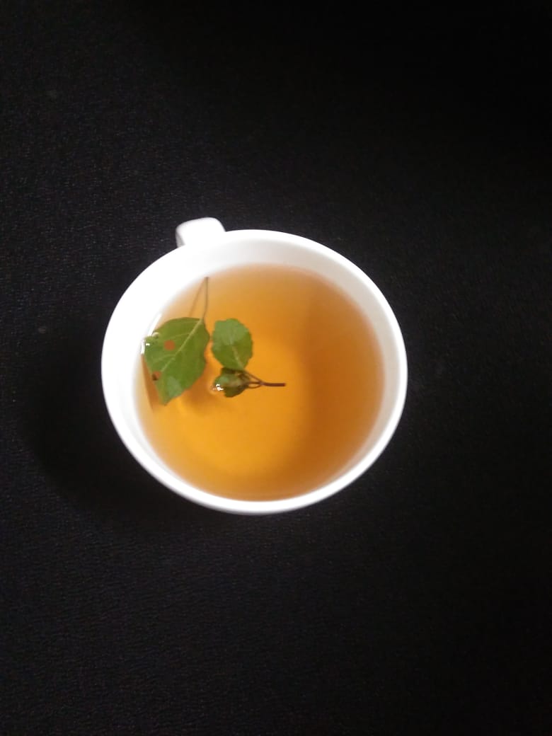 Basil Tea